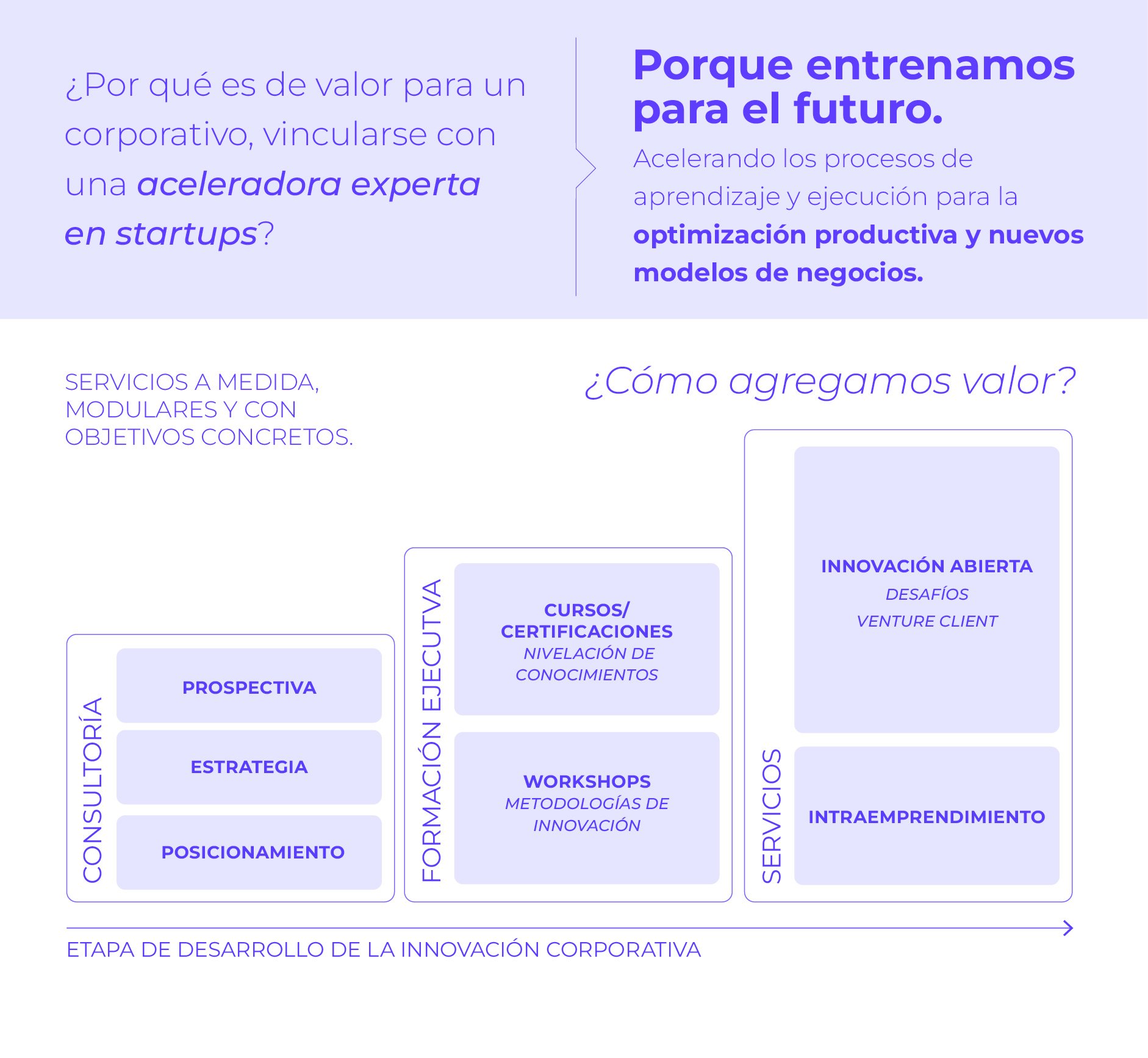 LANDING NN 2026 estructura servicios marzo