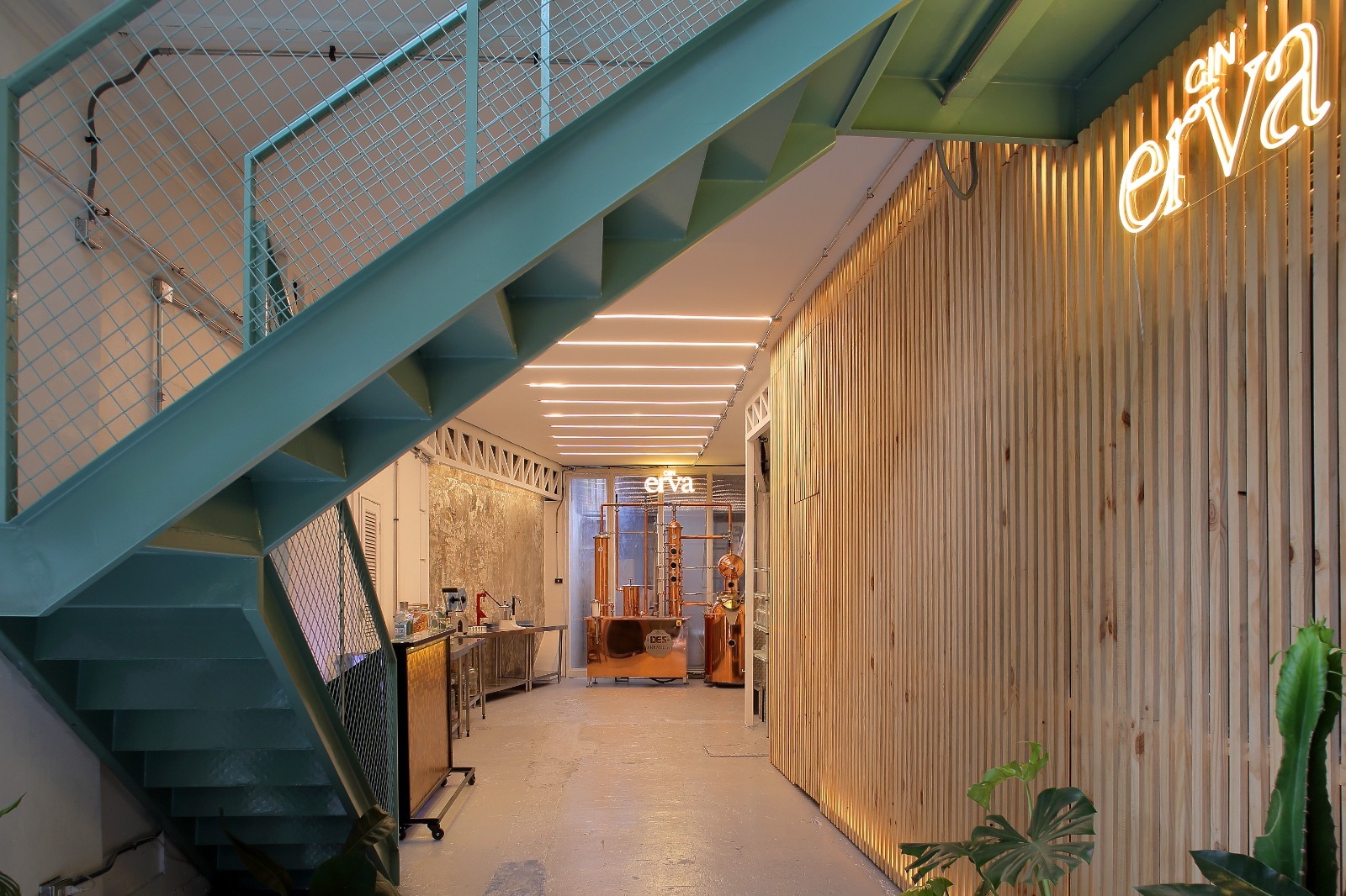 WhatsApp Image 2026-01-08 at 16.27.38 (3)