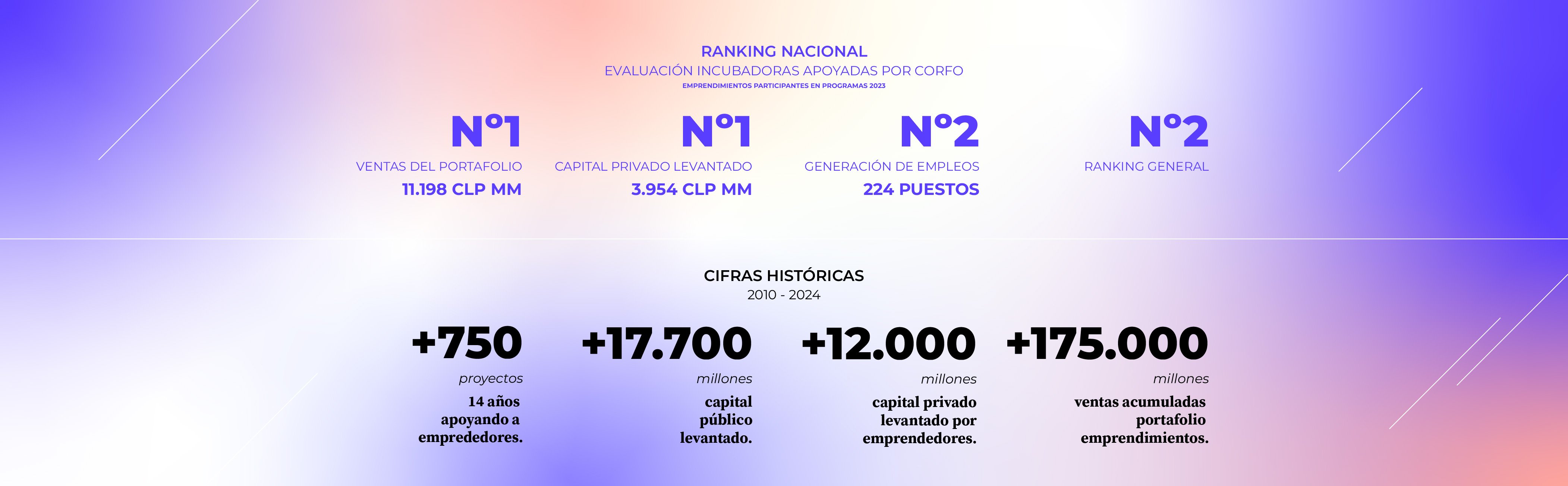 cifras WEB 2024