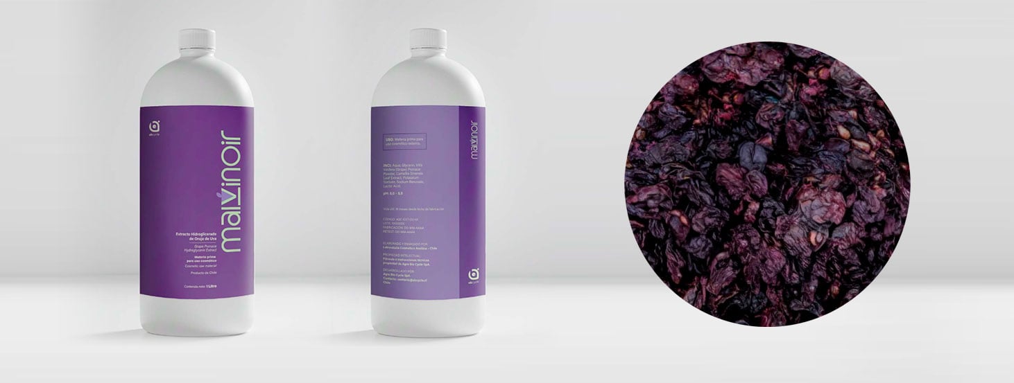 malvinoir-udd-ventures-vino-uva-salud-belleza-innovacion-chile-startup