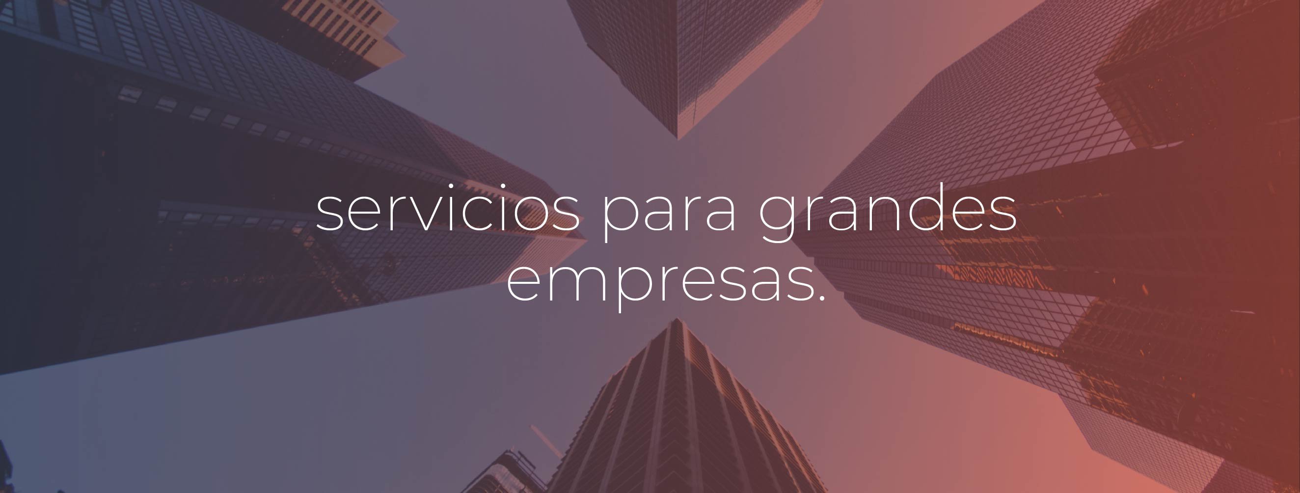 servicios grandes empresas-13-1