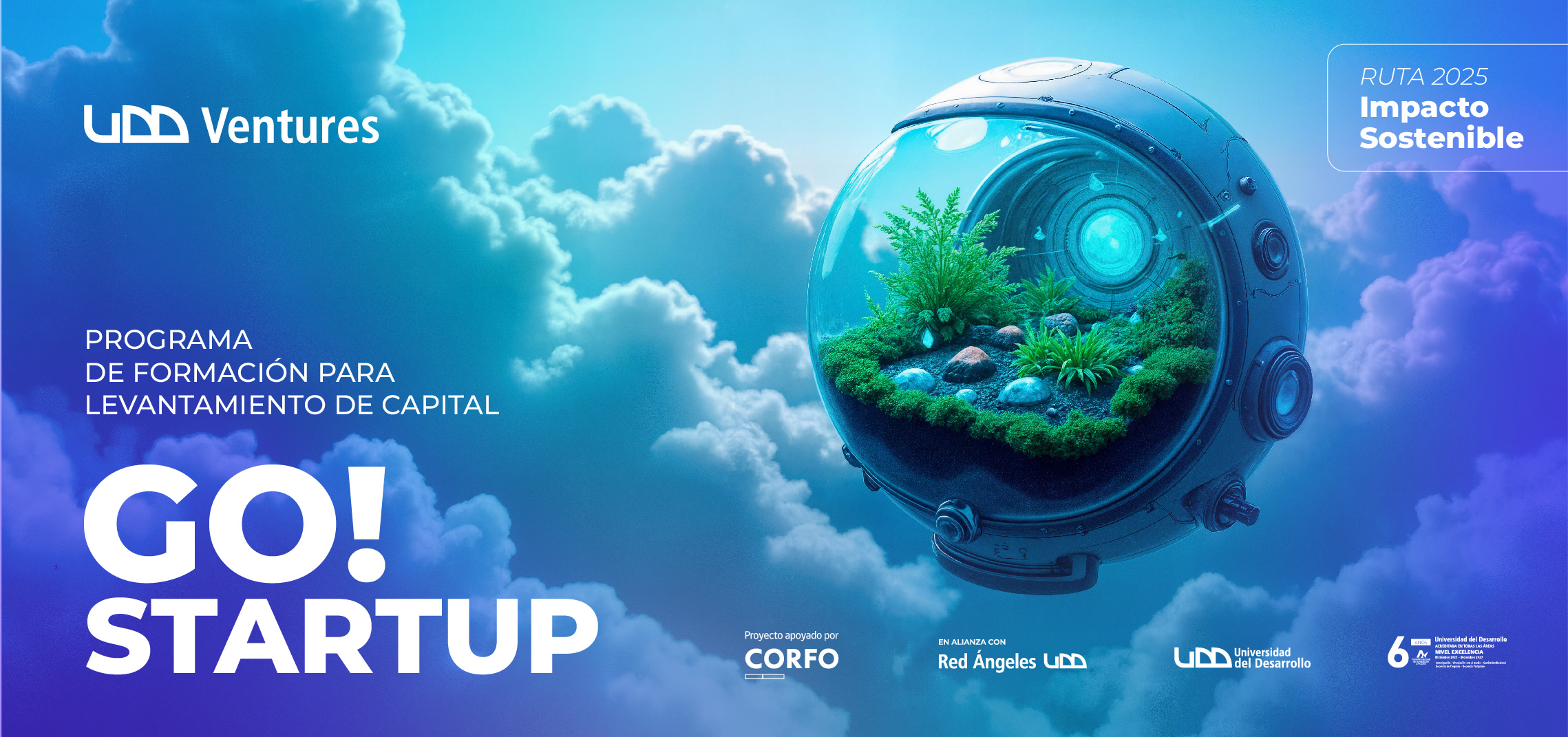 go startup