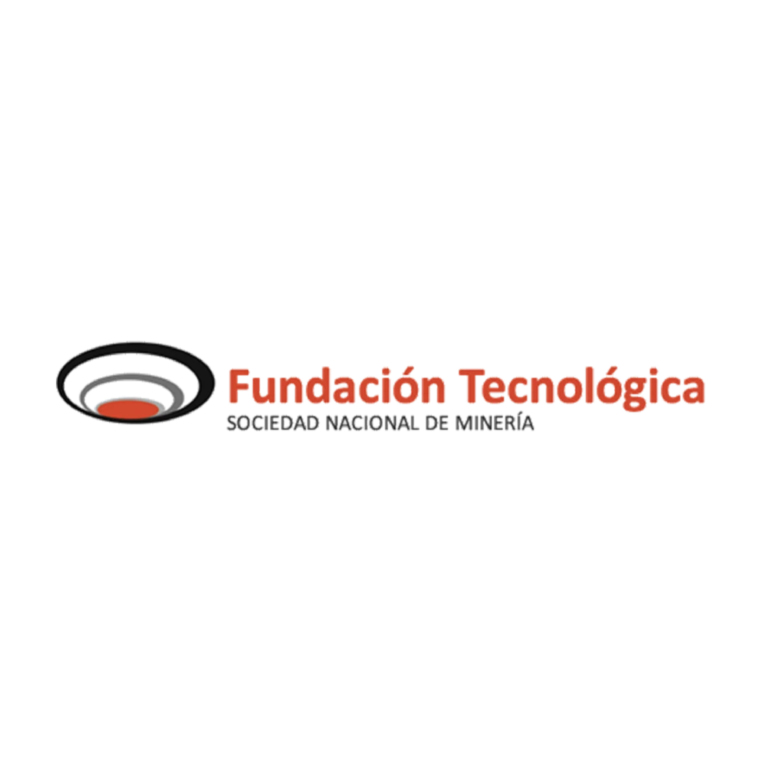 nn fundacion tecnologica
