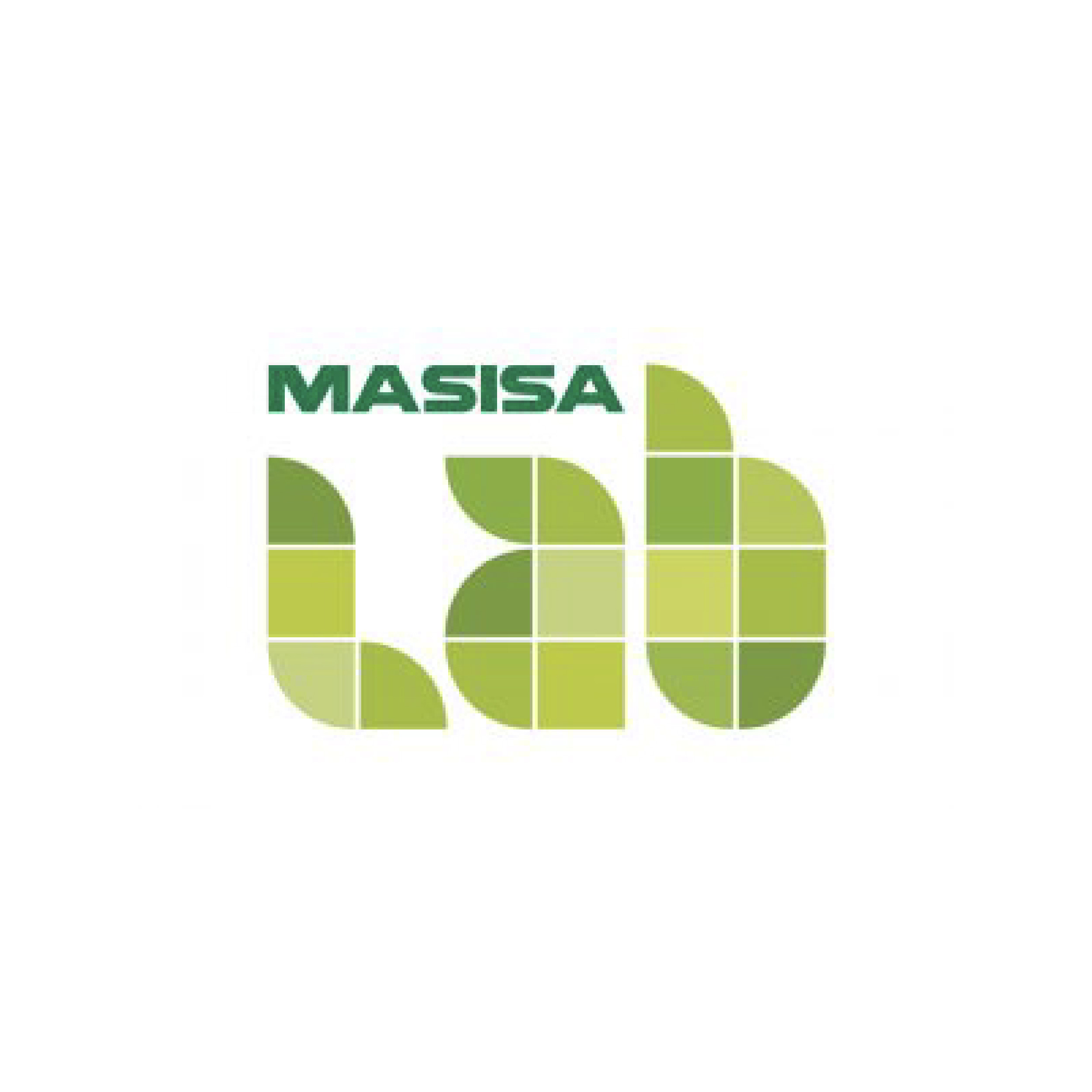 nn masisa