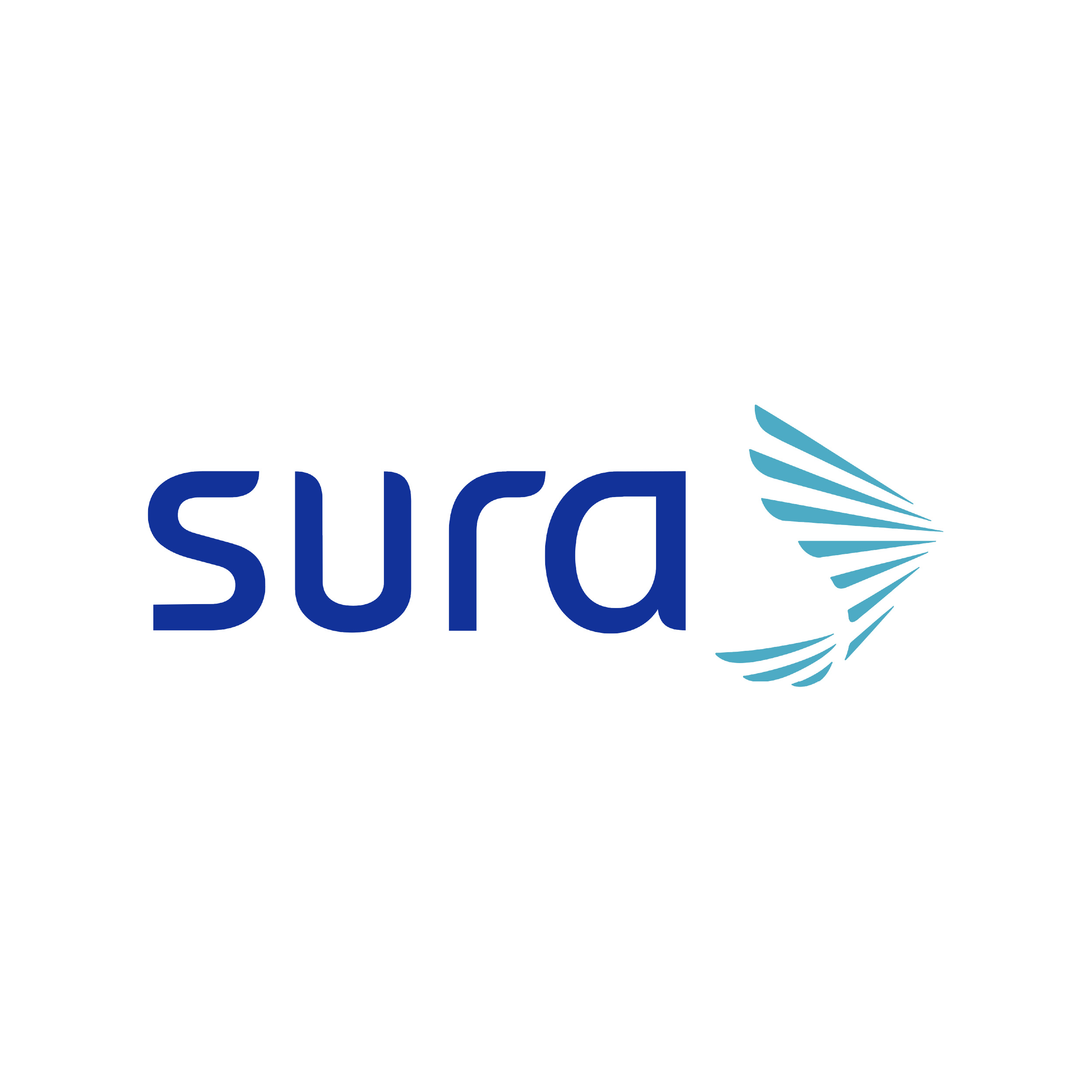 nn sura