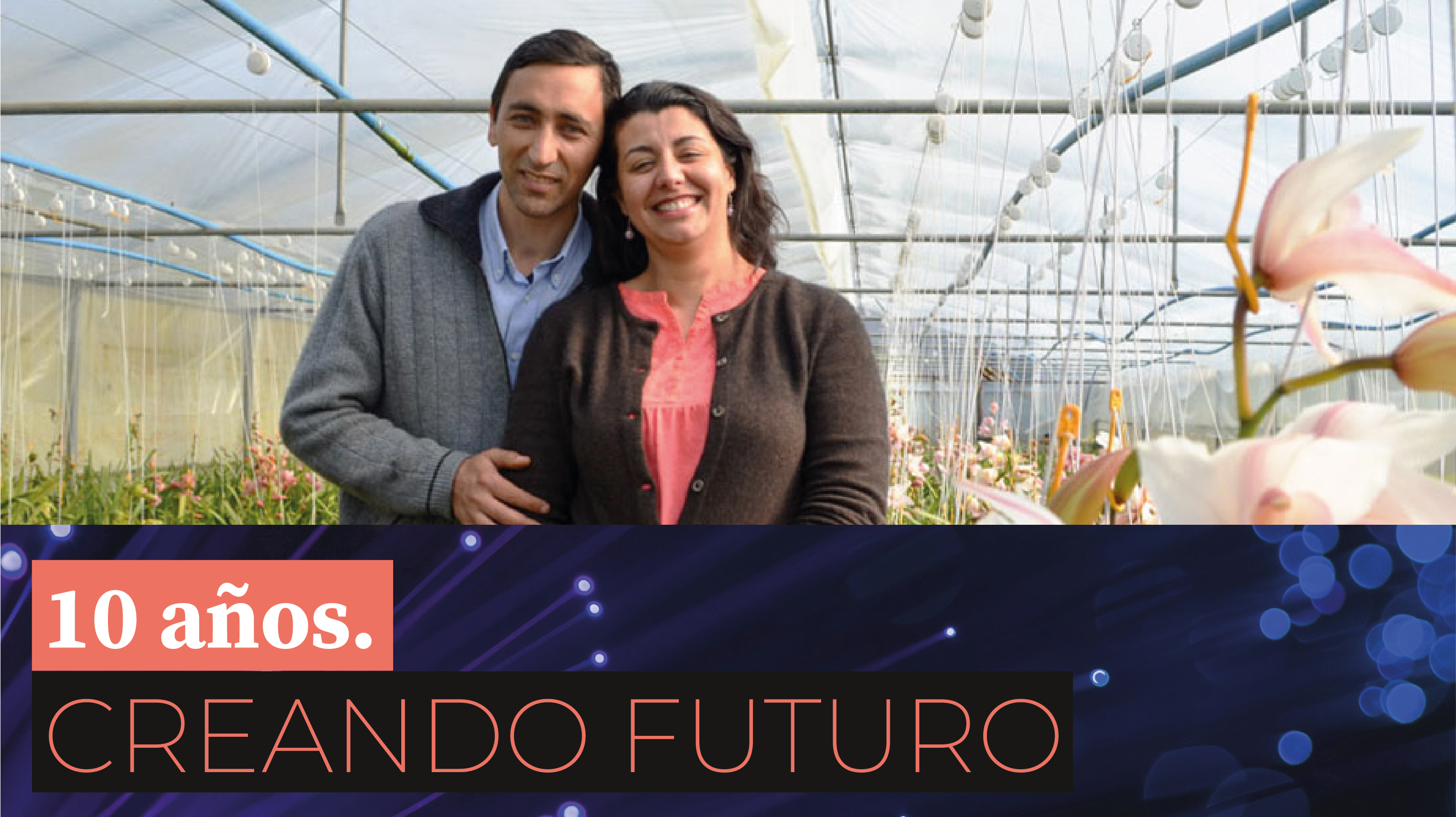 Orquídeas Biobío: el emprendimiento familiar que lidera las ventas de  orquídeas en Chile.