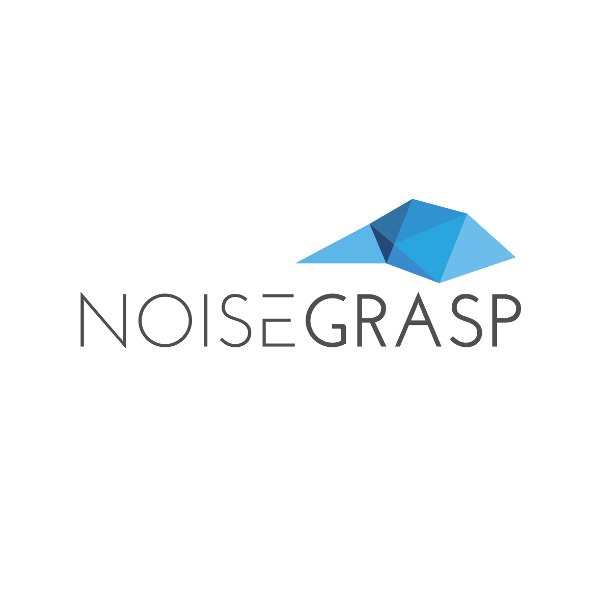 noisegrasp