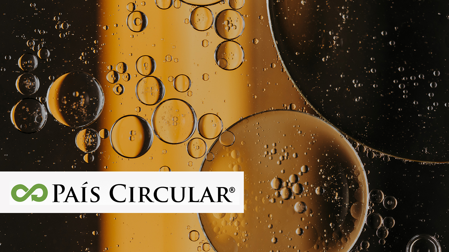 Sicalu: la startup que contribuye a la trazabilidad de los residuos de aceites lubricantes en el marco de la Ley REP